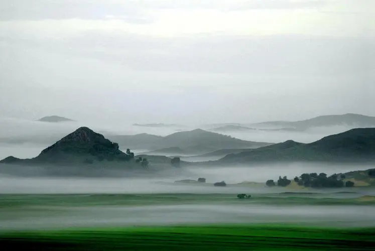 网络化高性能
